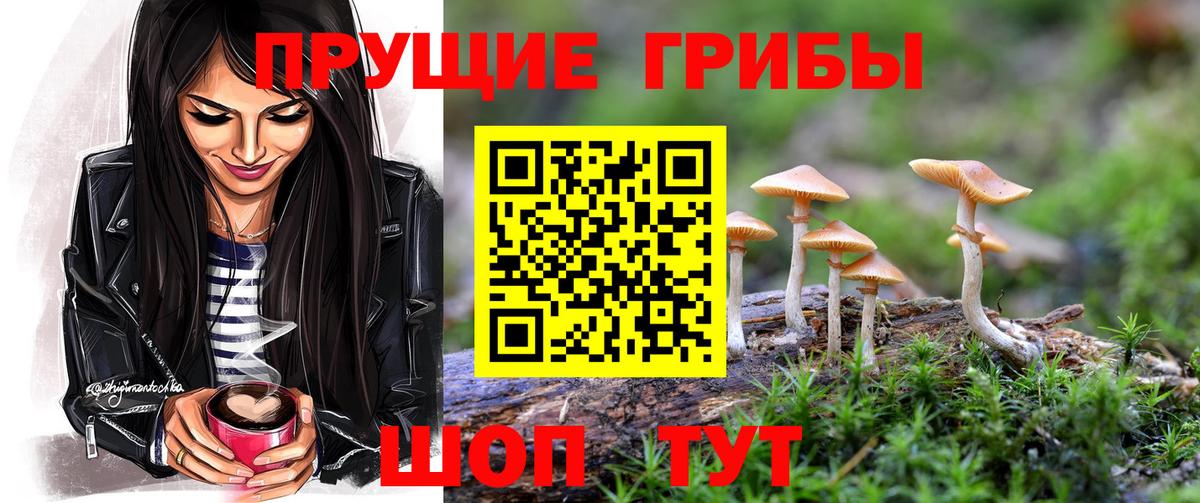Галлюциногенные грибы ЛСД  Галлюциногенные грибы мухоморы  Ковров  Вход с VPN 